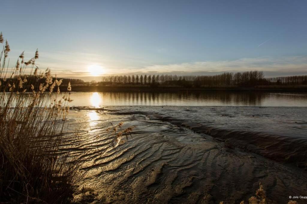 Amand'Eau - Zwemvijver, Zonneterras, Grote Tuin Sint-Amands Exterior photo