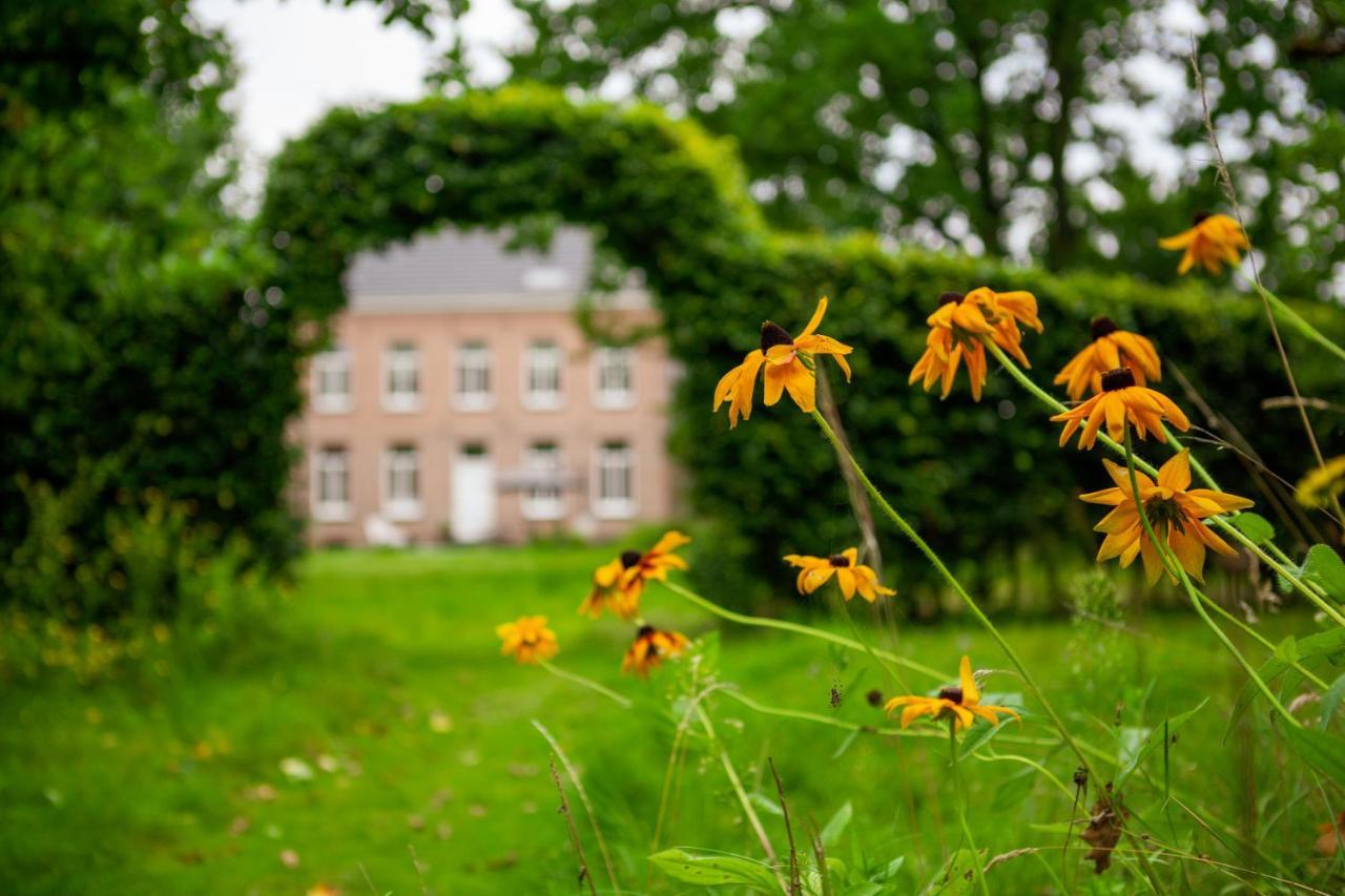 Amand'Eau - Zwemvijver, Zonneterras, Grote Tuin Sint-Amands Exterior photo